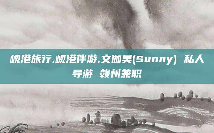 泸州岘港旅行,岘港伴游,文伽昊(Sunny) 私人导游 赣州兼职