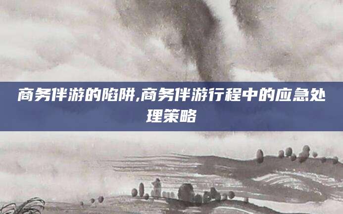 泸州商务伴游的陷阱,商务伴游行程中的应急处理策略